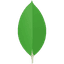 MongoDB